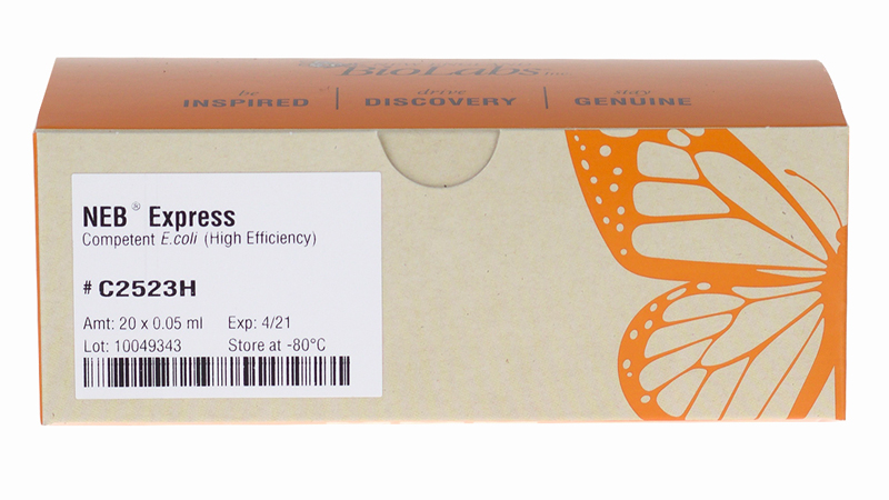 NEB Express Competent E coli High Efficiency