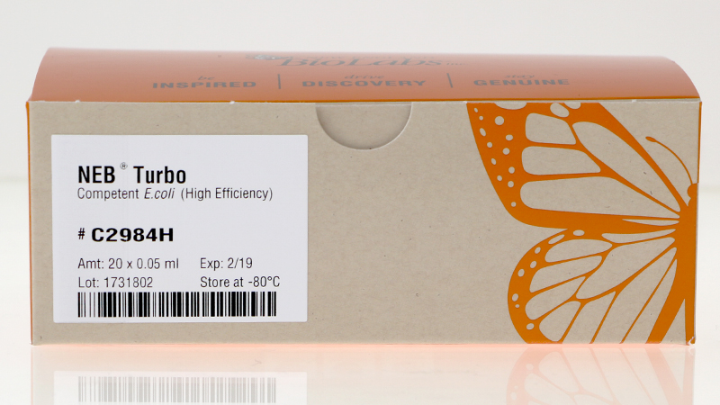 NEB Turbo Competent E coli High Efficiency