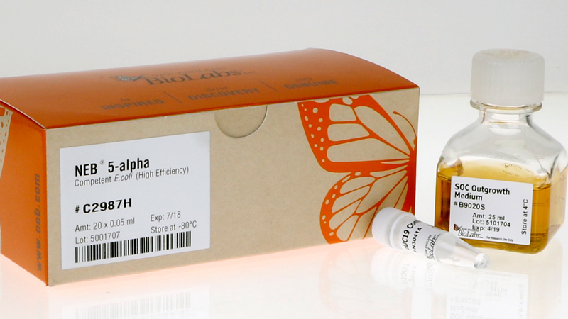 NEB 5 alpha Competent E coli High Efficiency