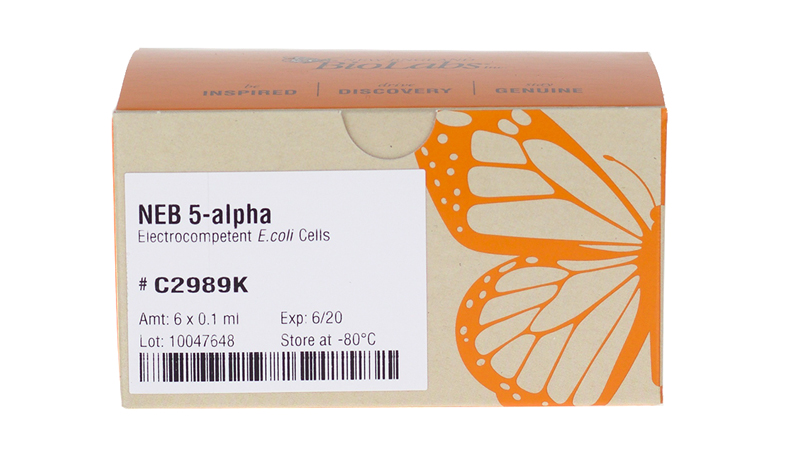 NEB 5 alpha Electrocompetent E coli