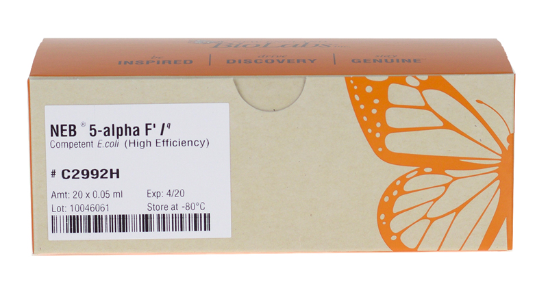 NEB 5 alpha F Iq Competent E coli High Efficiency