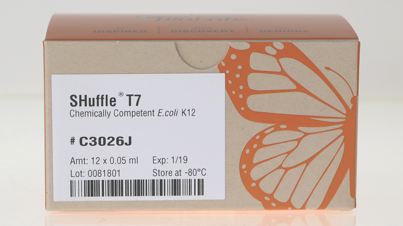 SHuffle T7 Competent E coli