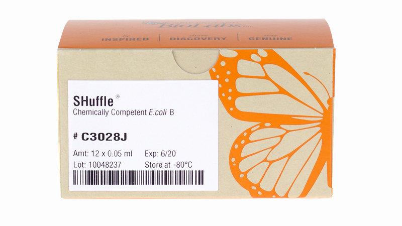 SHuffle Express Competent E coli