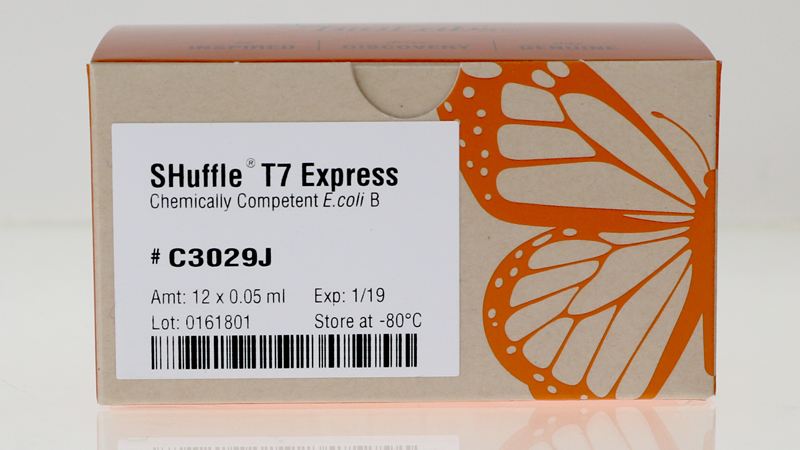 SHuffle T7 Express Competent E coli