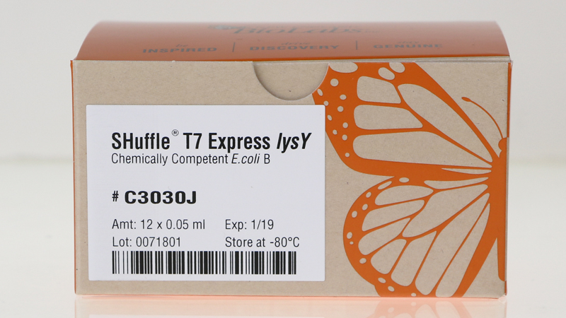 SHuffle T7 Express lysY Competent E coli