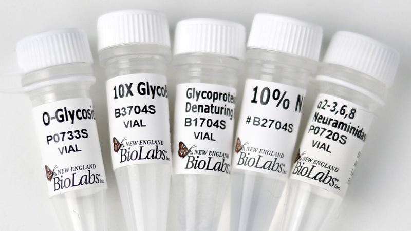 O Glycosidase and Neuraminidase Bundle