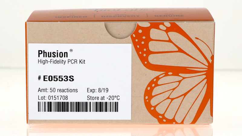 Phusion High Fidelity PCR Kit