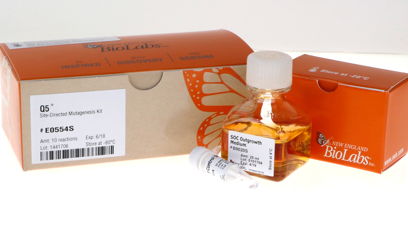 Q5 Site Directed Mutagenesis Kit