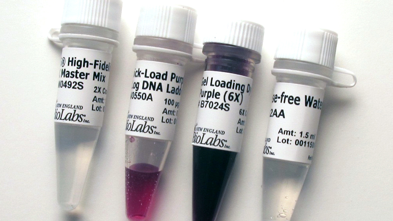 Q5 High Fidelity PCR Kit