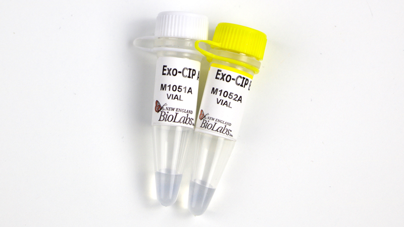 Exo CIP Rapid PCR Cleanup Kit