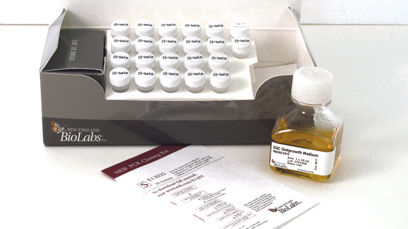 NEB PCR Cloning Kit