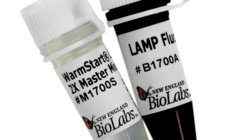 WarmStartLAMP Kit