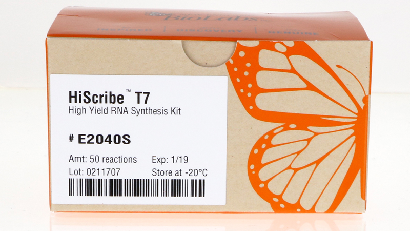 HiScribe T7 High Yield RNA Synthesis Kit