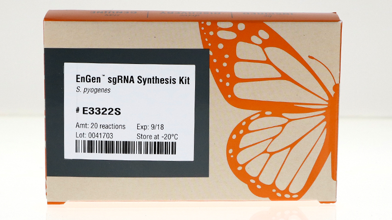 EnGen sgRNA Synthesis Kit S pyogenes