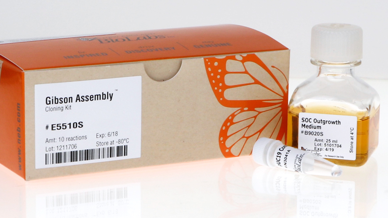 Gibson Assembly Cloning Kit