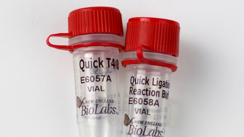 NEBNext Quick Ligation Module