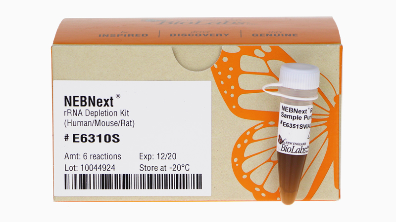 NEBNext rRNA Depletion Kit Human Mouse Rat with RNA Sample Purification Beads