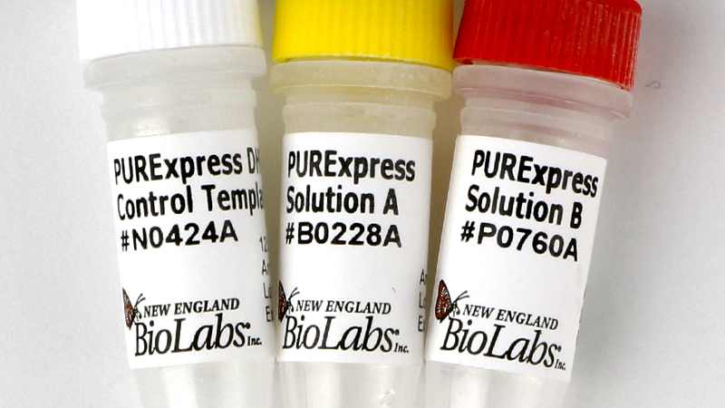 PURExpress In Vitro Protein Synthesis Kit