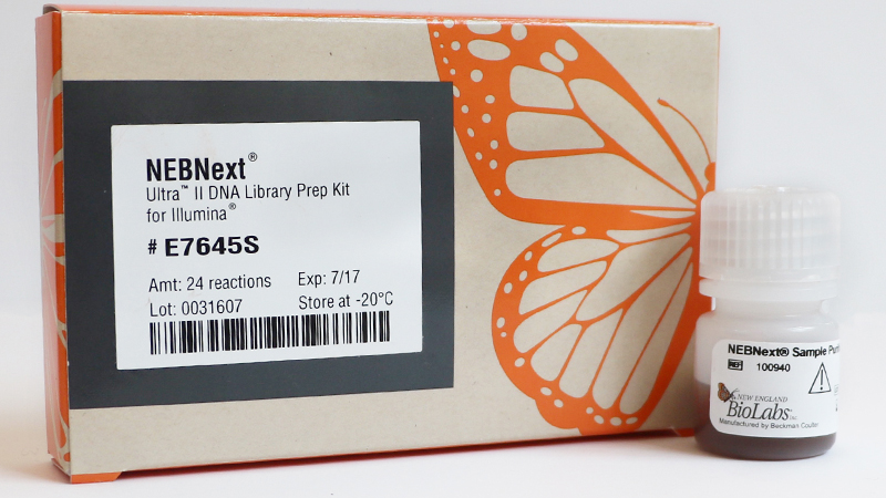 NEBNext Ultra II DNA Library Prep with Sample Purification Beads