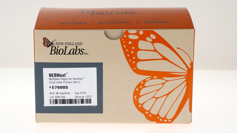 NEBNext Multiplex Oligos for Illumina Dual Index Primers Set 1
