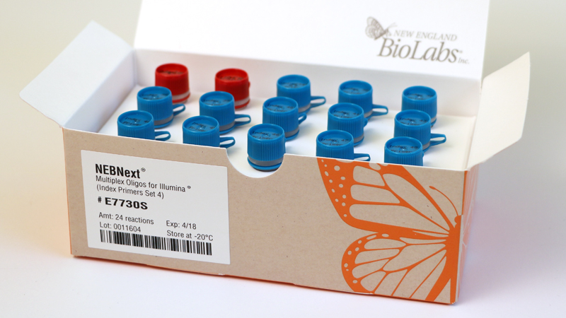 NEBNext Multiplex Oligos for Illumina Index Primers Set 4