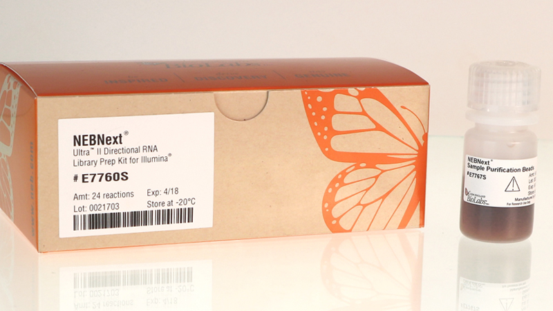 NEBNext Ultra II Directional RNA Library Prep with Sample Purification Beads
