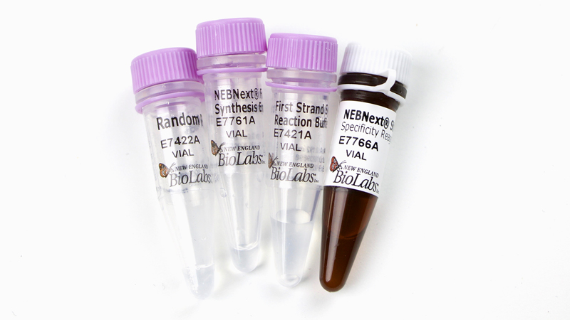 NEBNext Ultra II RNA First Strand Synthesis Module
