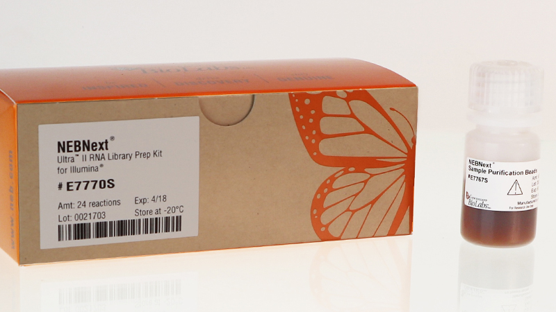 NEBNext Ultra II RNA Library Prep with Sample Purification Beads