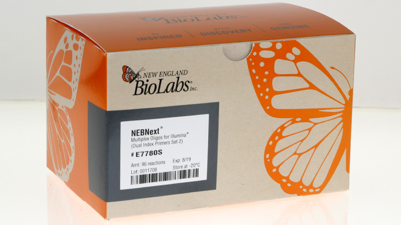 NEBNext Multiplex Oligos for Illumina Dual Index Primers Set 2