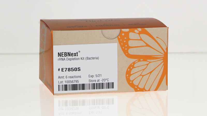 NEBNext rRNA Depletion Kit Bacteria