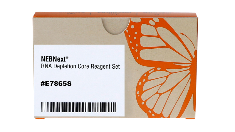 NEBNext RNA Depletion Core Reagent Set