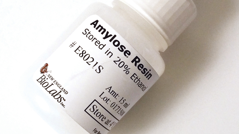Amylose Resin