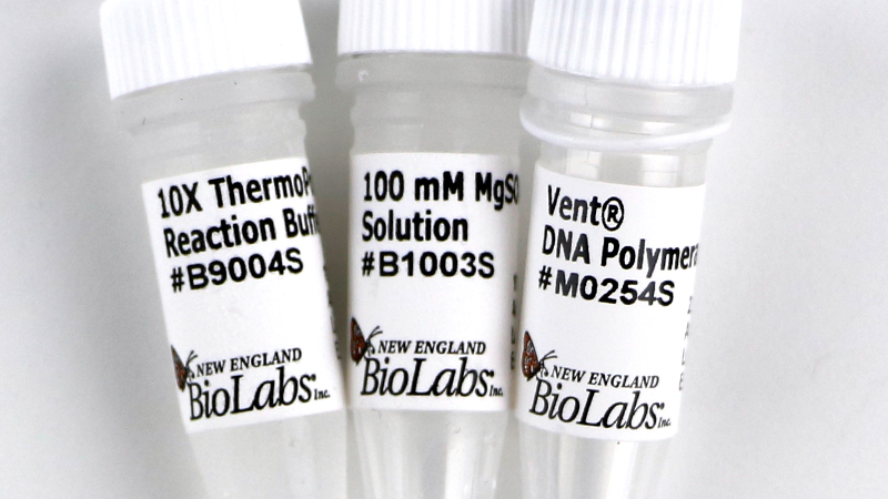 Vent DNA Polymerase