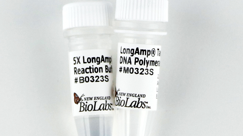 LongAmp Taq DNA Polymerase