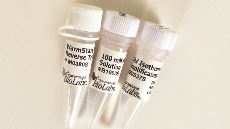 WarmStart RTx Reverse Transcriptase