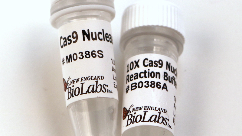 Cas9 Nuclease S pyogenes