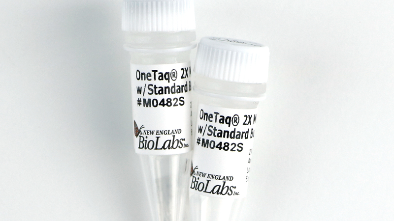 OneTaq 2X Master Mix with Standard Buffer