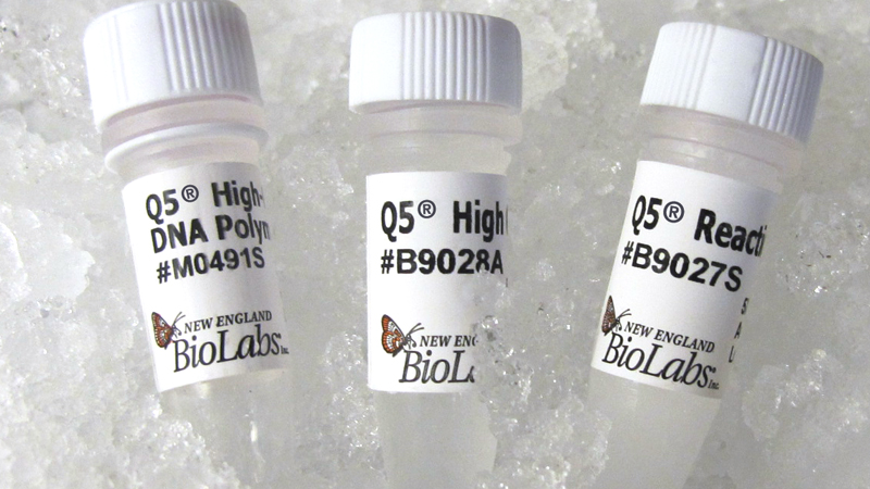 Q5 High Fidelity DNA Polymerase