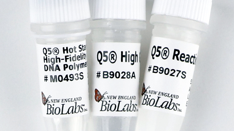 Q5 Hot Start High Fidelity DNA Polymerase
