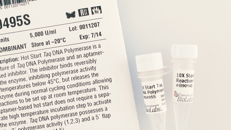 Hot Start Taq DNA Polymerase
