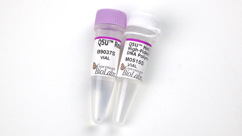 Q5U Hot Start High Fidelity DNA Polymerase