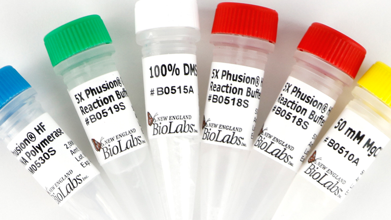 Phusion High Fidelity DNA Polymerase