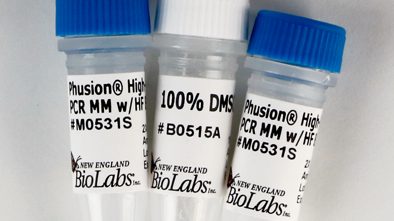Phusion High Fidelity PCR Master Mix with HF Buffer