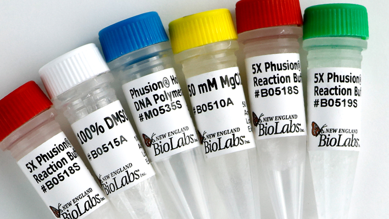 Phusion Hot Start Flex DNA Polymerase