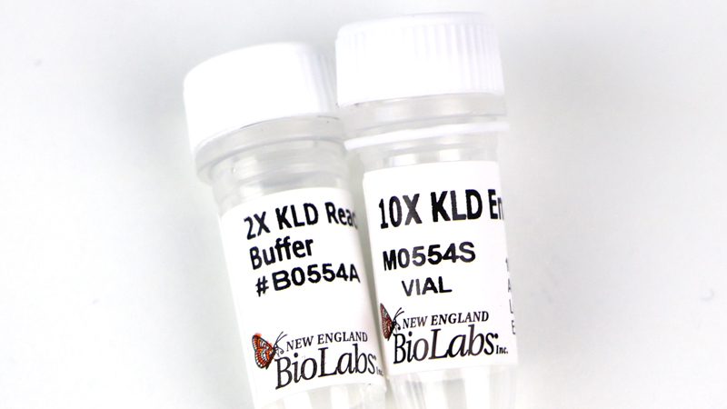 KLD Enzyme Mix
