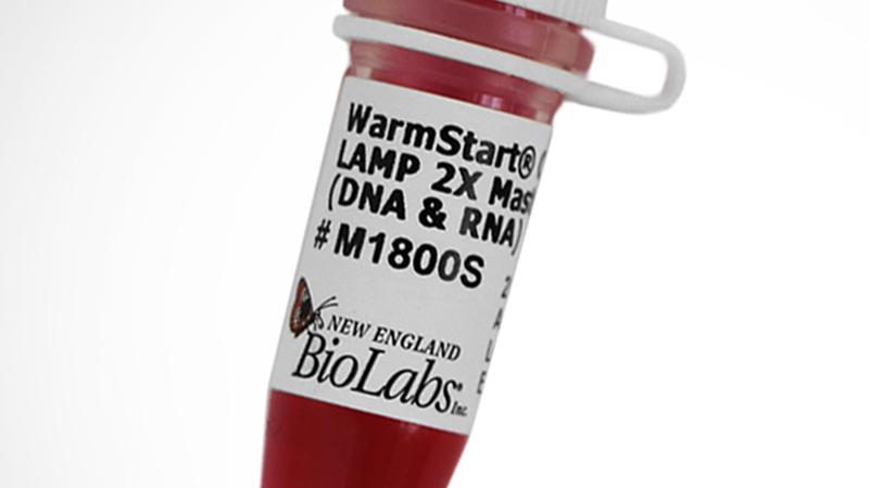 WarmStart Colorimetric LAMP 2X Master Mix DNA and RNA