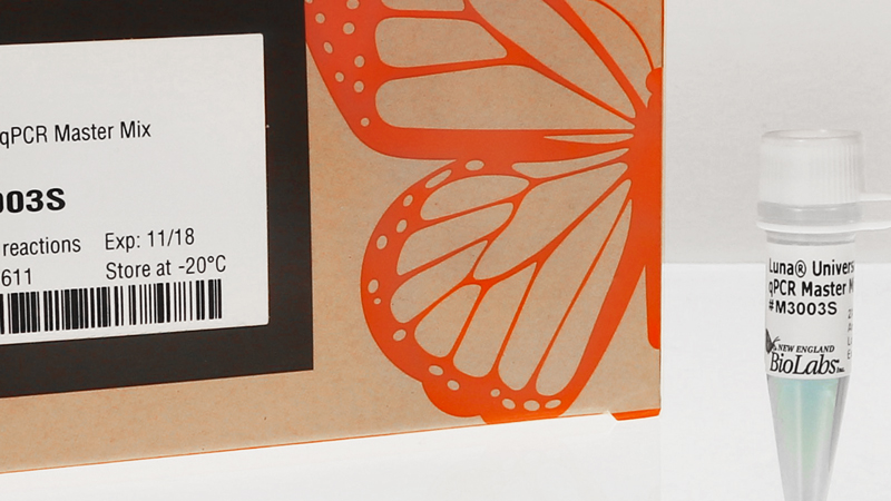 Luna Universal qPCR Master Mix