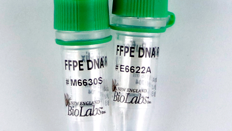 NEBNext FFPE DNA Repair Mix