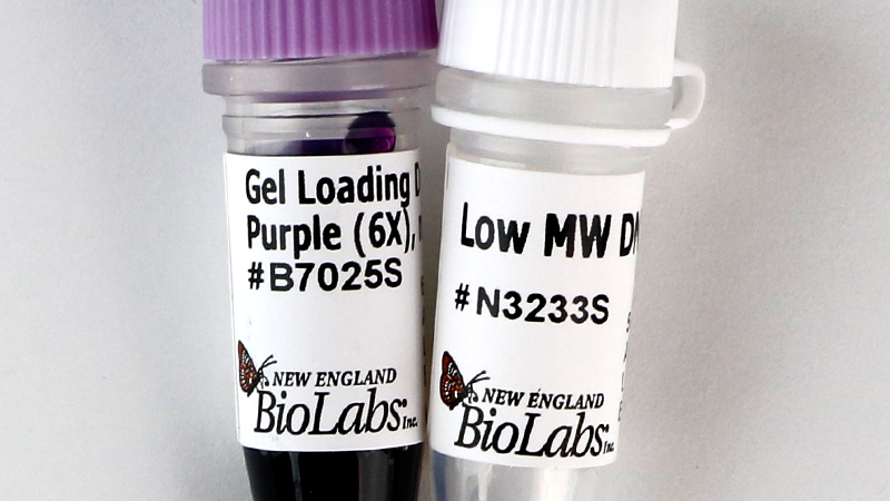 Low Molecular Weight DNA Ladder
