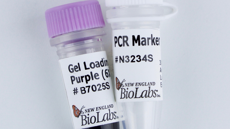 PCR Marker